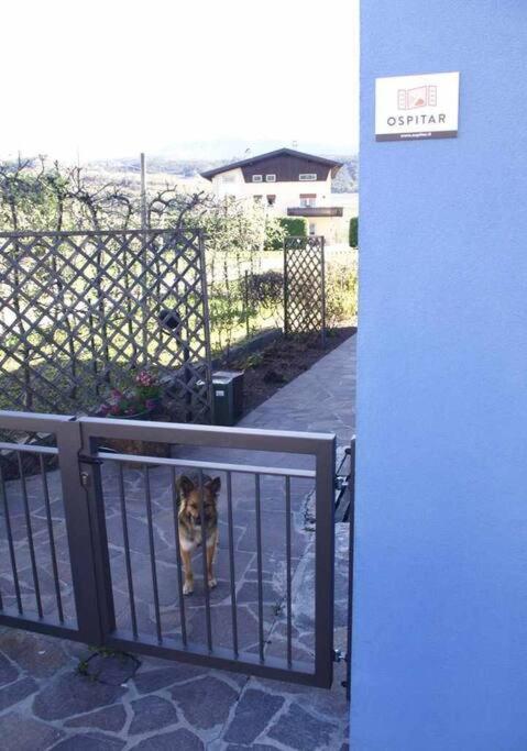 Ferienwohnung Casa Del Tempo Irma Tassullo Ospitar Exterior foto